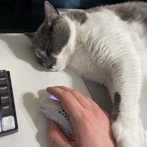 Meet your Posher, Jake